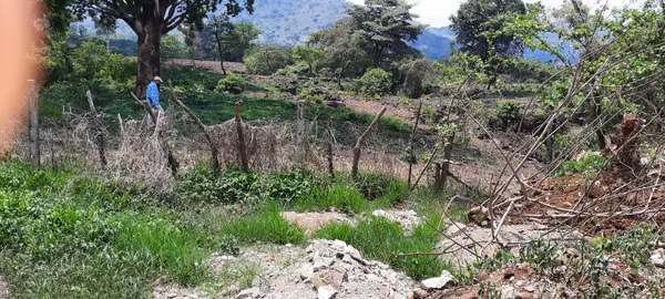VENTA 9.5  MANZANAS TERRENO FRENTE A ZONA FRANCA EN  SANTA ANA