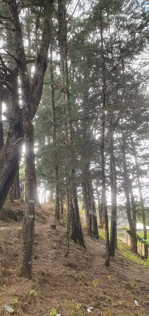 VENDO PARCELA EN CANTON LA GRANADILLA LA PALMA CHALATENANGO