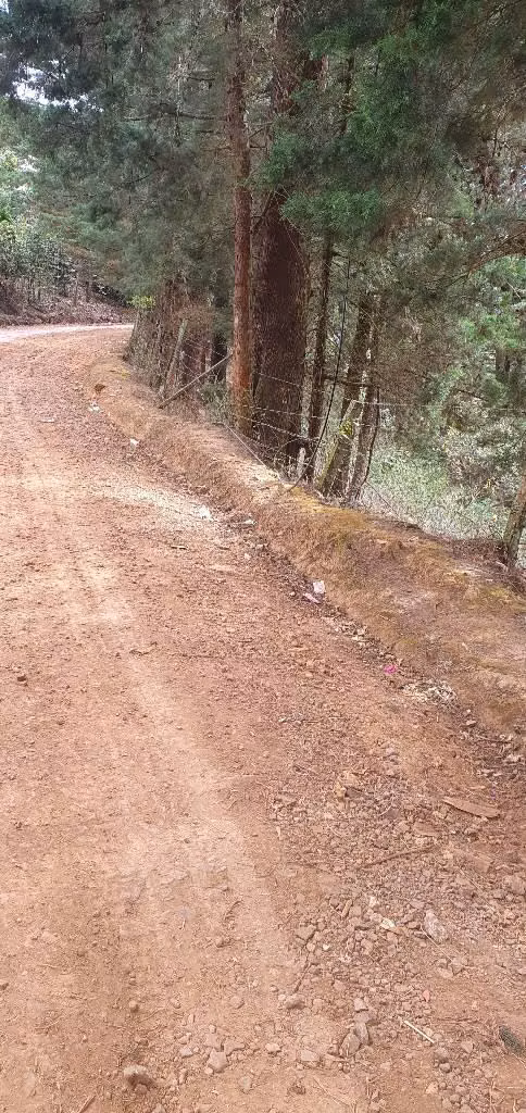 VENDO PARCELA EN CANTON LA GRANADILLA LA PALMA CHALATENANGO