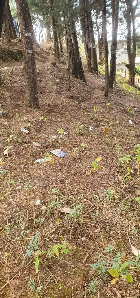 VENDO PARCELA EN CANTON LA GRANADILLA LA PALMA CHALATENANGO