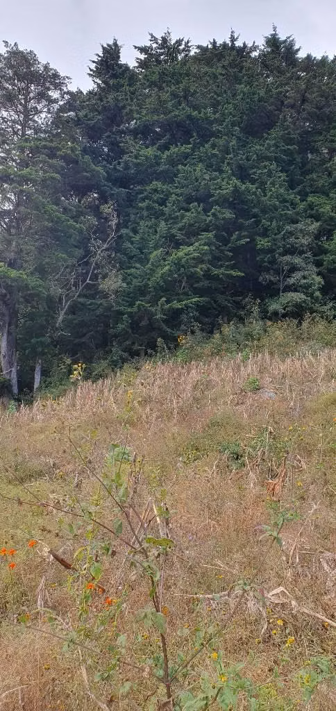 VENDO TERRENO DE 2 MANZANAS EN LOS PLANES LA PALMA CHALATENANGO