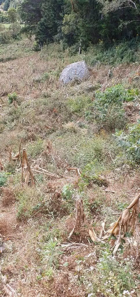 VENDO TERRENO DE 2 MANZANAS EN LOS PLANES LA PALMA CHALATENANGO
