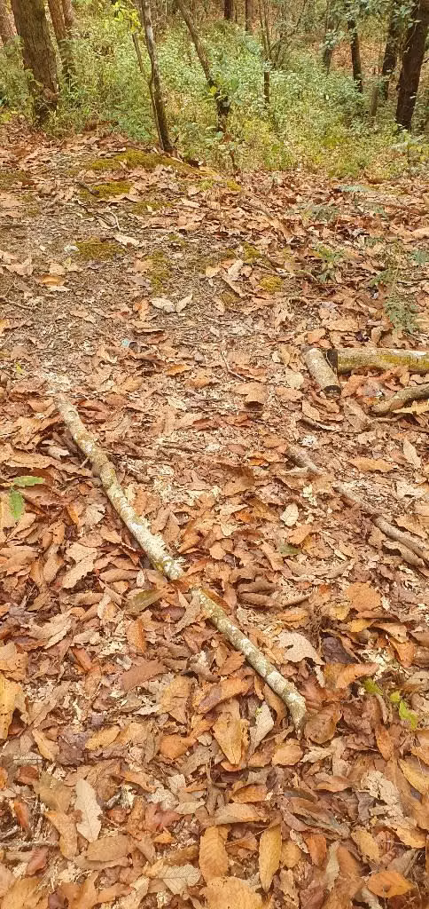 Vendo hermosa parcela en la palma chalatenango