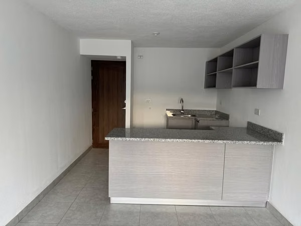 San Francisco Tower - Apartamento en Venta en Colonia San Francisco #3195