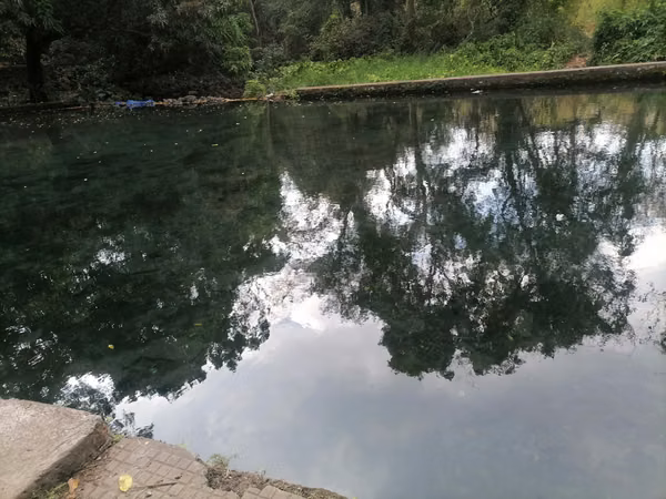 VENTA  HACIENDA  110 MANZANAS  SANTA ANA