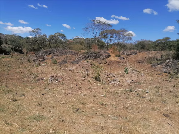 VENTA  HACIENDA  110 MANZANAS  SANTA ANA