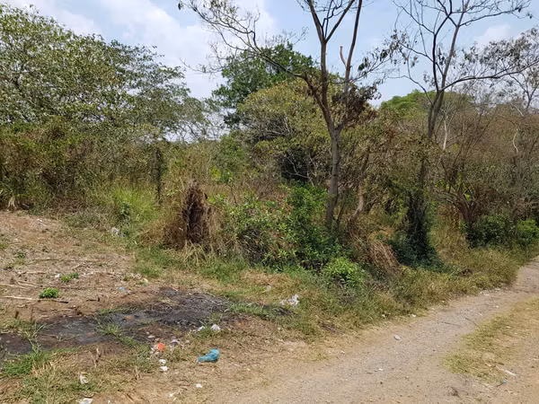 VENTA 12 MANZANAS CARRETERA PANAMERICANA CONGO - SANTA ANA