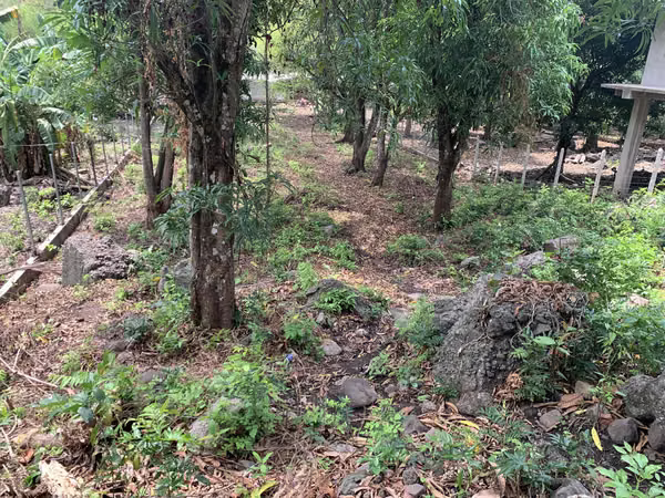 Terreno con Potencial de Plusvalía – Cerca de Playa La Perla