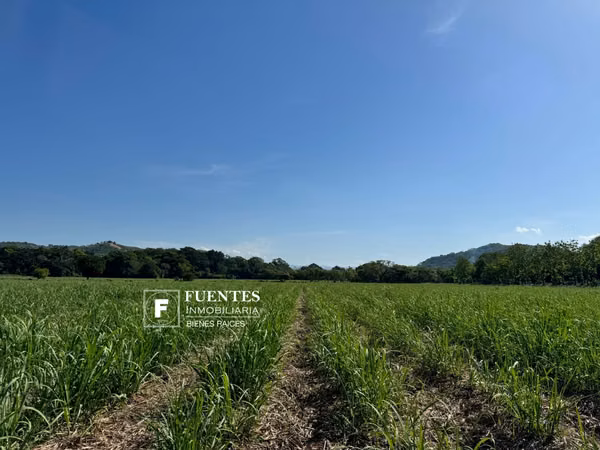VENTA TERRENO AGRICOLA SONSONATE CANT0N SALINAS DE AYACHAPA