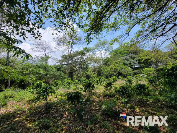 SANTA ANA, TERRENO EN VENTA. 44 MZ. A 4 KM DE PRICESMART