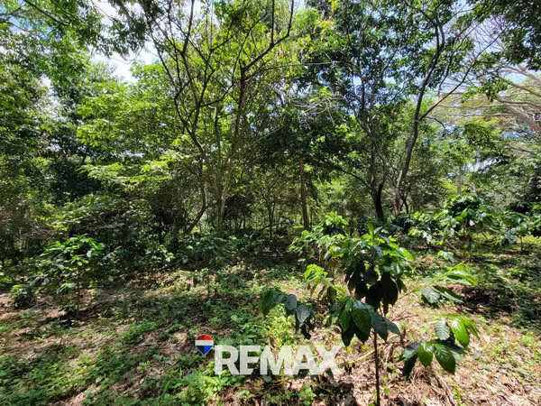 SANTA ANA, TERRENO EN VENTA. 44 MZ. A 4 KM DE PRICESMART