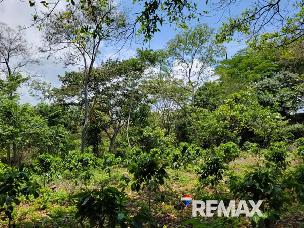SANTA ANA, TERRENO EN VENTA. 44 MZ. A 4 KM DE PRICESMART