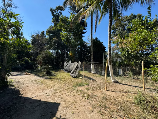 I sell 6.5 Field Apples, Chantecuan Row Plans