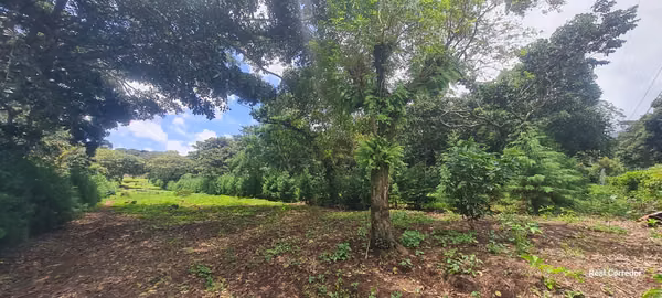 Land sale in Ataco (plots)