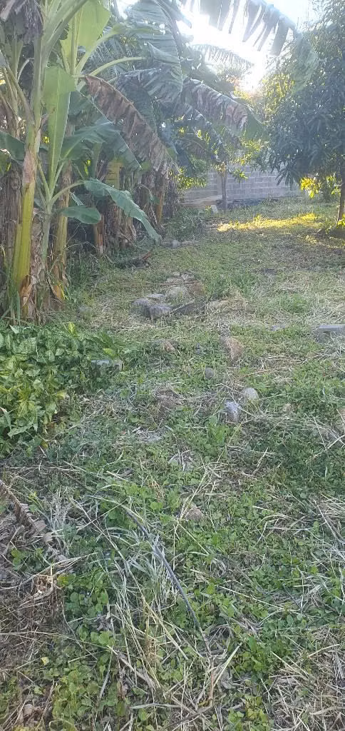 Vendo parcela en san Ignacio chalatenango