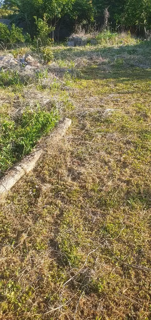 Vendo parcela en san Ignacio chalatenango