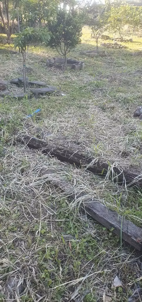 Vendo parcela en san Ignacio chalatenango
