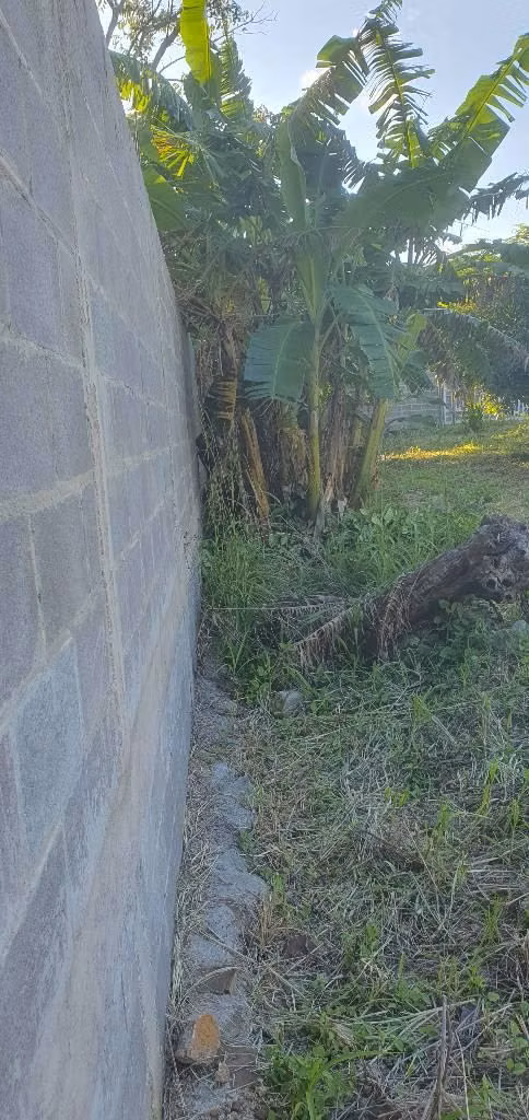 Vendo parcela en san Ignacio chalatenango