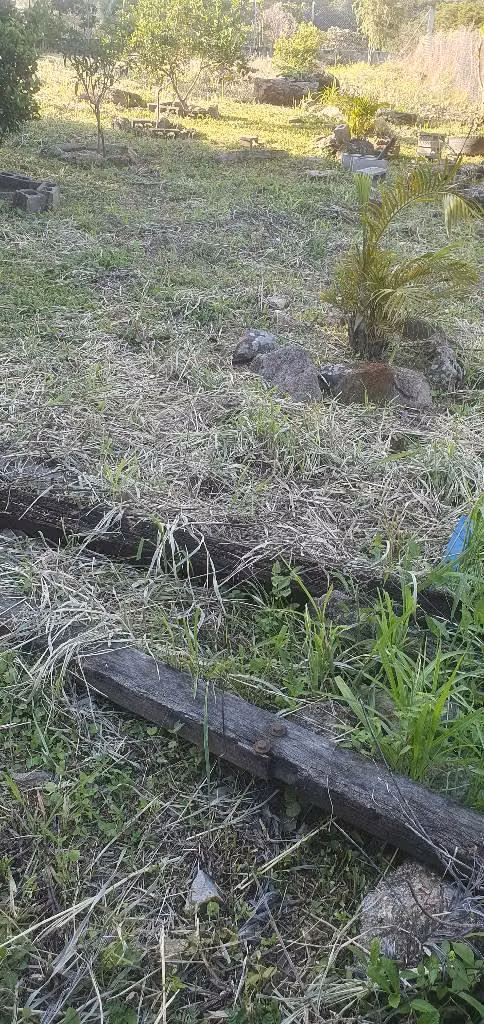 Vendo parcela en san Ignacio chalatenango