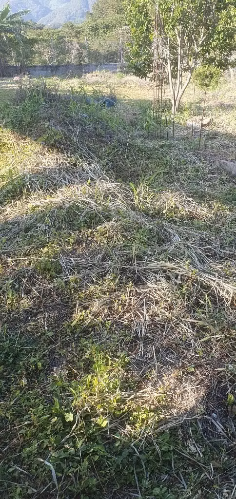 Vendo parcela en san Ignacio chalatenango
