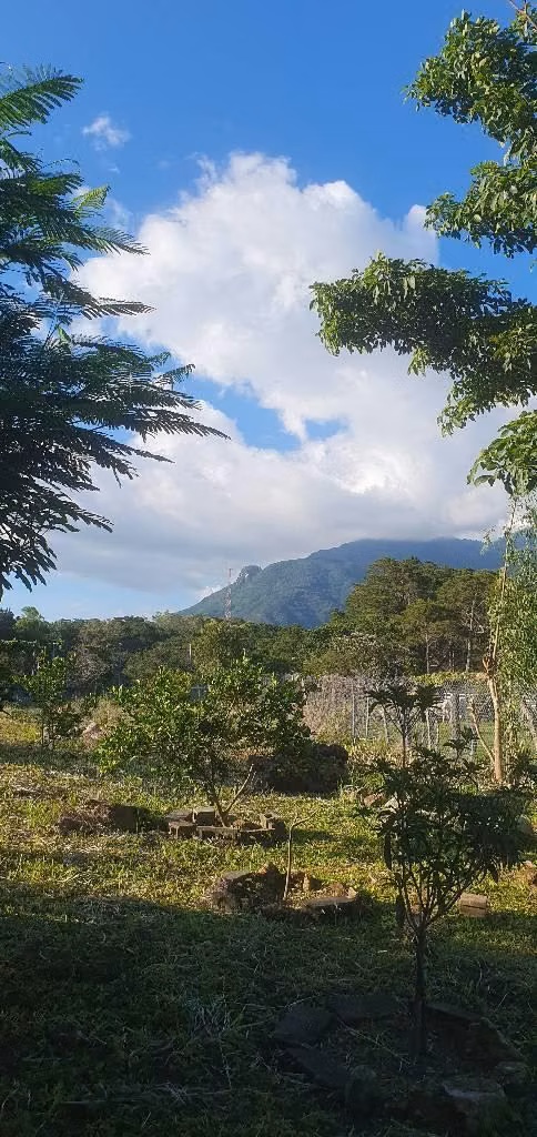 Vendo parcela en san Ignacio chalatenango