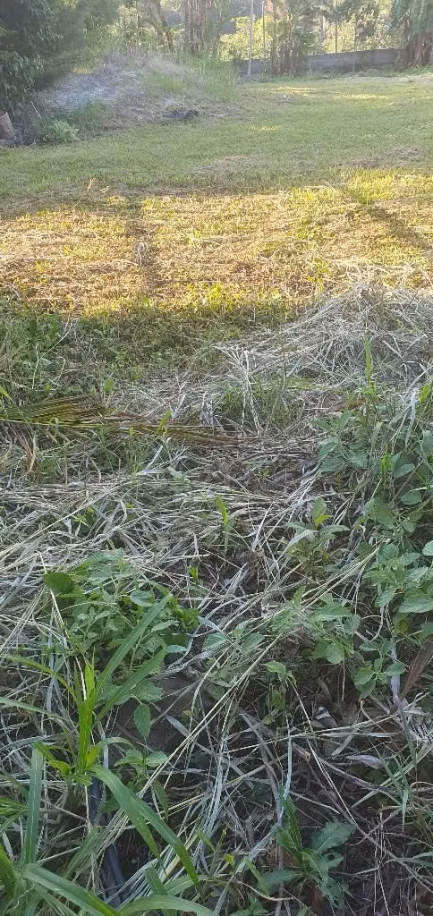 Vendo parcela en san Ignacio chalatenango