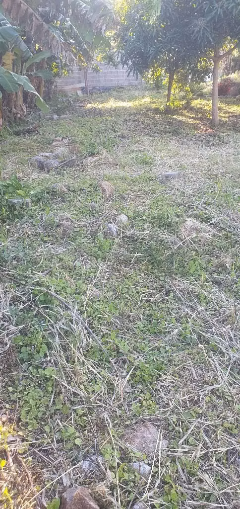 Vendo parcela en san Ignacio chalatenango