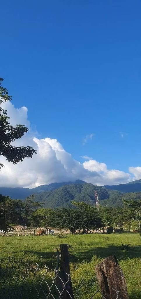 Vendo parcela en san Ignacio chalatenango