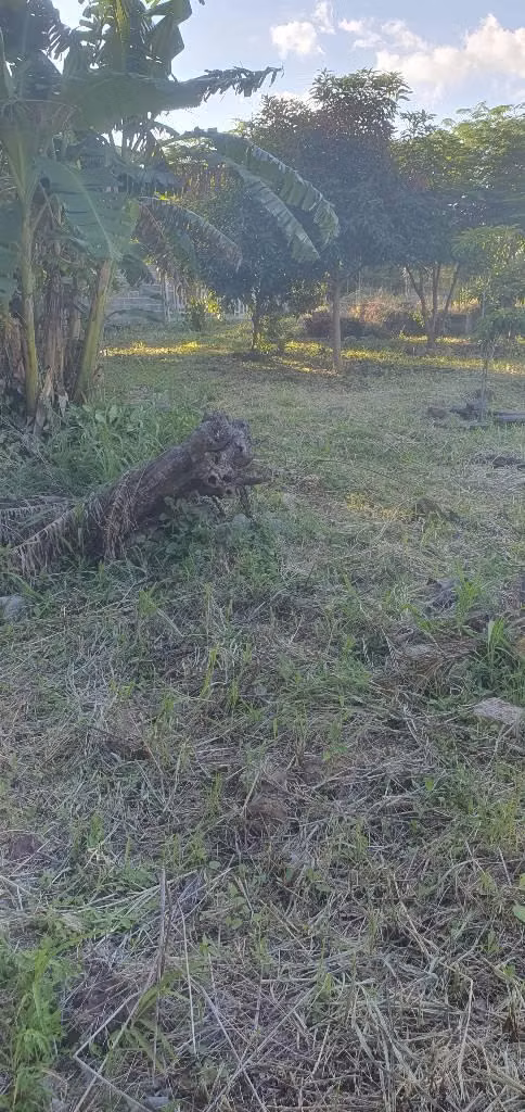 Vendo parcela en san Ignacio chalatenango