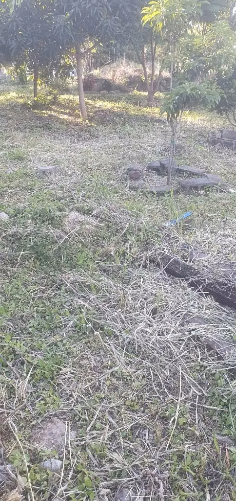 Vendo parcela en san Ignacio chalatenango