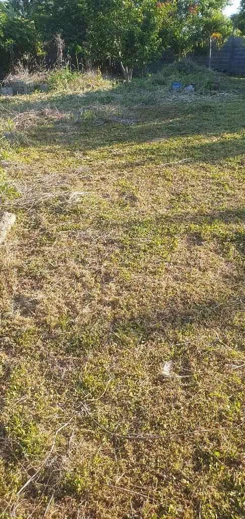 Vendo parcela en san Ignacio chalatenango