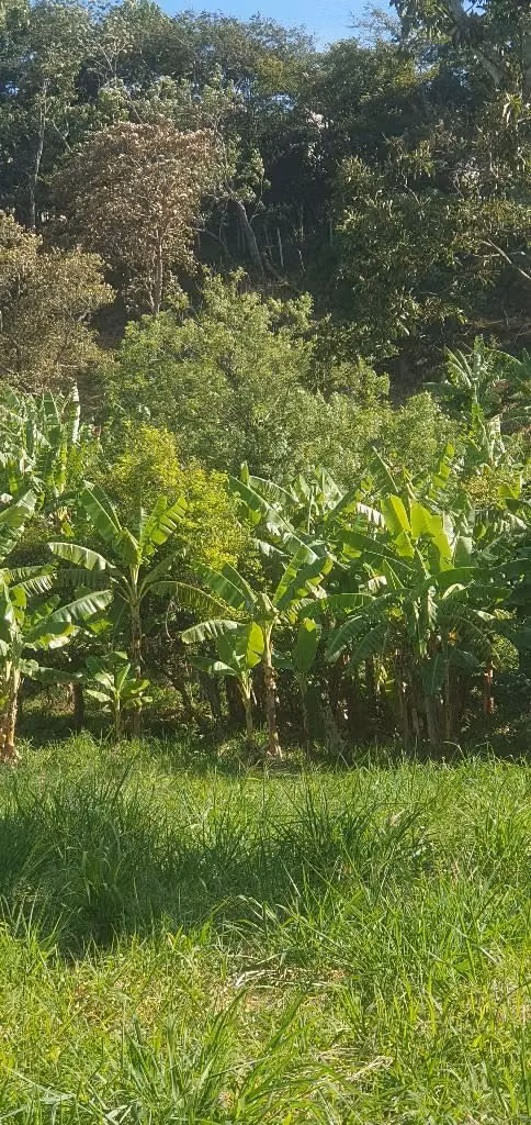 Vendo muy ermosa parcela de 6,337.90 en la palma chalatensngo