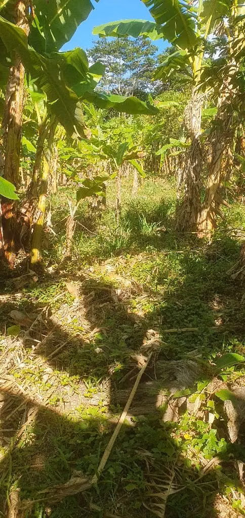 Vendo muy ermosa parcela de 6,337.90 en la palma chalatensngo
