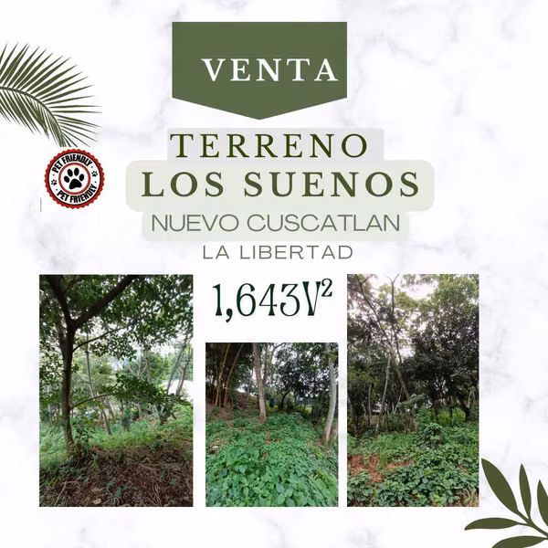 SALE OF LAND IN THE SUENES