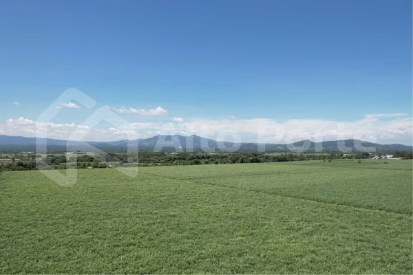 Land for Sale - San Juan Opico