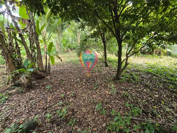VENDO PRECIOSO TERRENO EN CALUCO CON RIO, SONSONATE