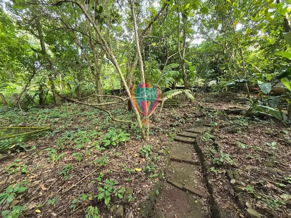 VENDO PRECIOSO TERRENO EN CALUCO CON RIO, SONSONATE