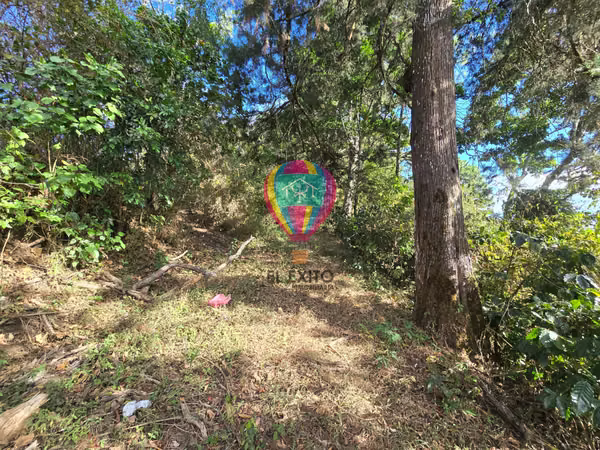 VENDO TERRENO DE 2,5 MANZANAS A ORILLA DE CARRETERA EN COMASAGUA, LA LIBERTAD