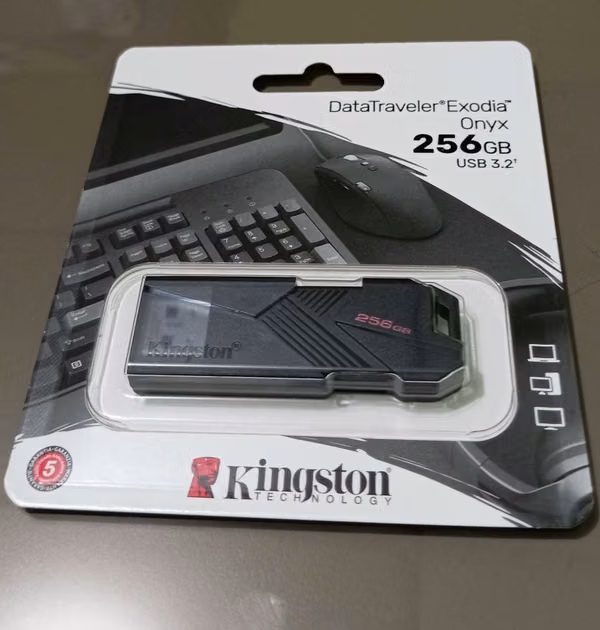 MEMORIA USB DE 256GB MARCA KINGSTON
