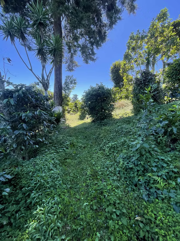 Venta finca Agroecologica 3 Mz.1,700 msnm , Volcán de San Salvador
