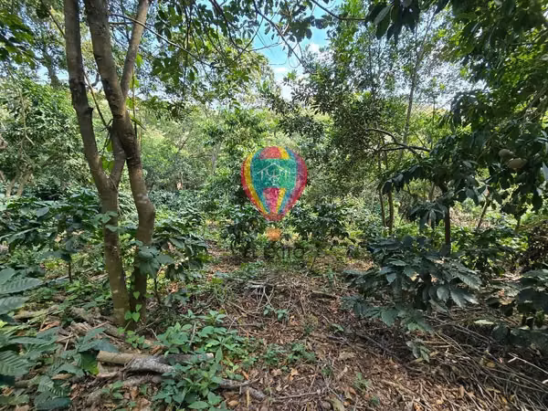 VENDO 1 MANZANA EN COMASAGUA, LA LIBERTAD CON VISTA A LAS MONTAÑAS
