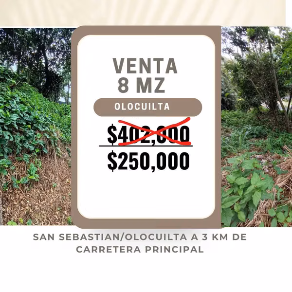 SE VENDEN 8 MANZANAS EN OLOCUILTA A BUEN PRECIO