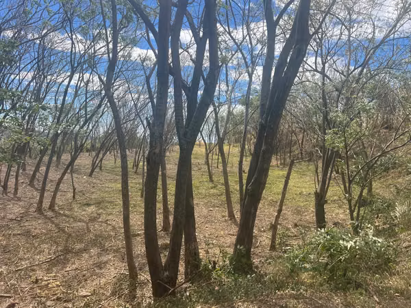 VENTA DOS TERRENOS EN EL ENCANTO COUNTRY CLUB