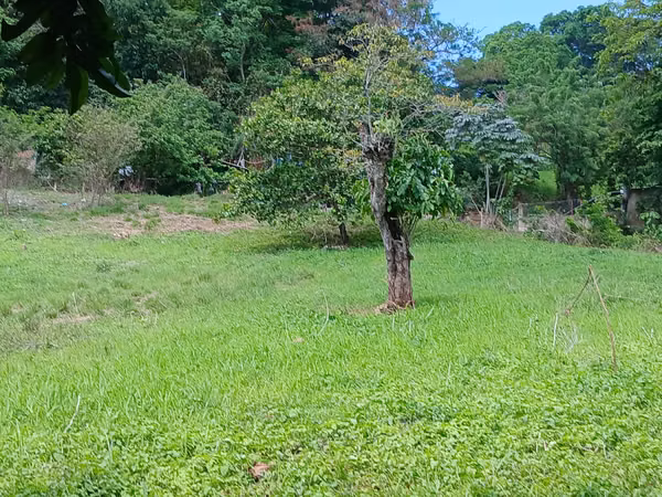 7 TAREAS DE TERRENO EN CHINAMECA, San Miguel