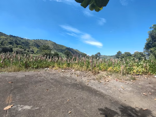 Terreno en Venta – Ateos
