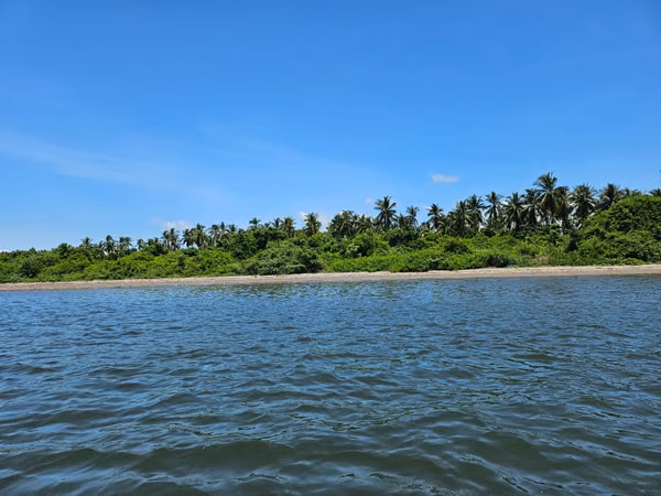 *Primera fila de Playa-Isla Madre Sal-Bahia de Jiquilisco*
