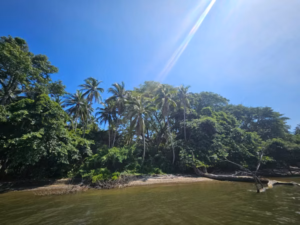 *Primera fila de Playa-Isla Madre Sal-Bahia de Jiquilisco*