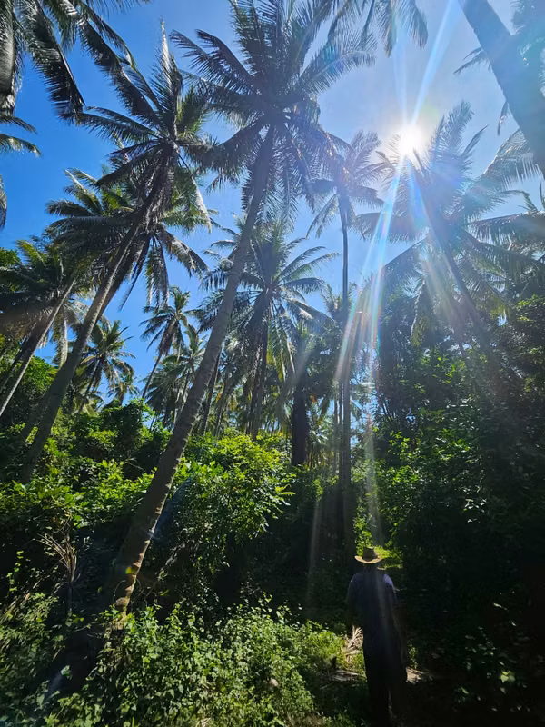 *Primera fila de Playa-Isla Madre Sal-Bahia de Jiquilisco*