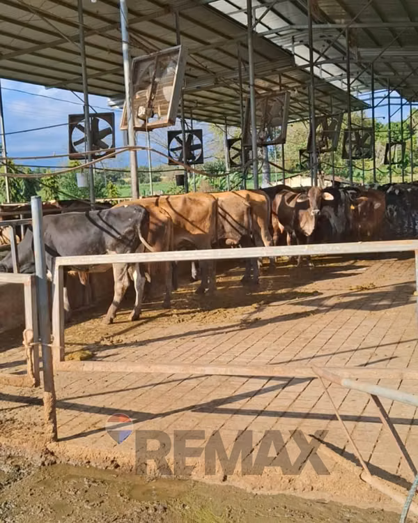SONSONATE, HACIENDA GANADERA Y AGRÍCOLA EN PRODUCCIÓN. CONEXIÓN DIRECTA CON ACAJUTLA