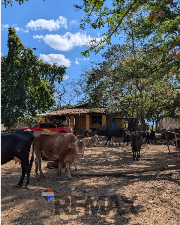 SONSONATE, HACIENDA GANADERA Y AGRÍCOLA EN PRODUCCIÓN. CONEXIÓN DIRECTA CON ACAJUTLA
